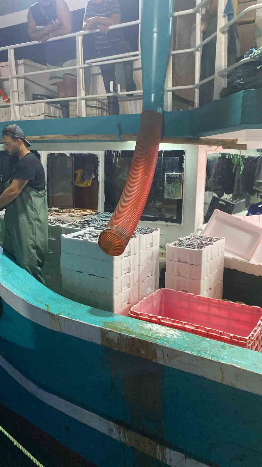 Didim’de ’Hamsi Kotası’ denetimi yapıldı