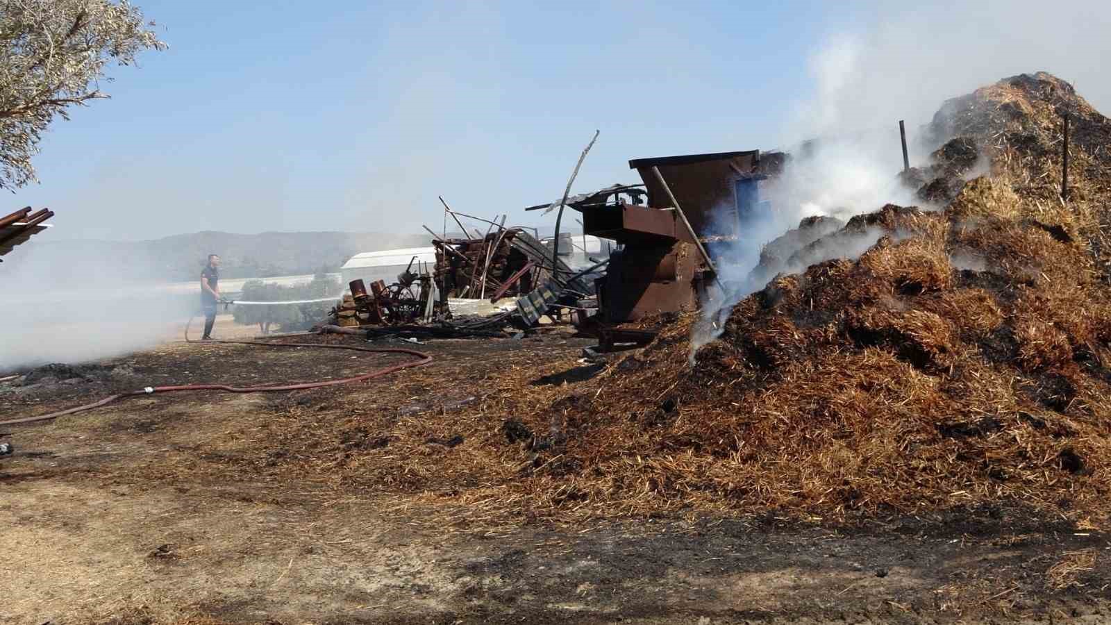 Anızdan başlayan yangın ağıl ve yem depolarını yaktı, 2 keçi telef oldu