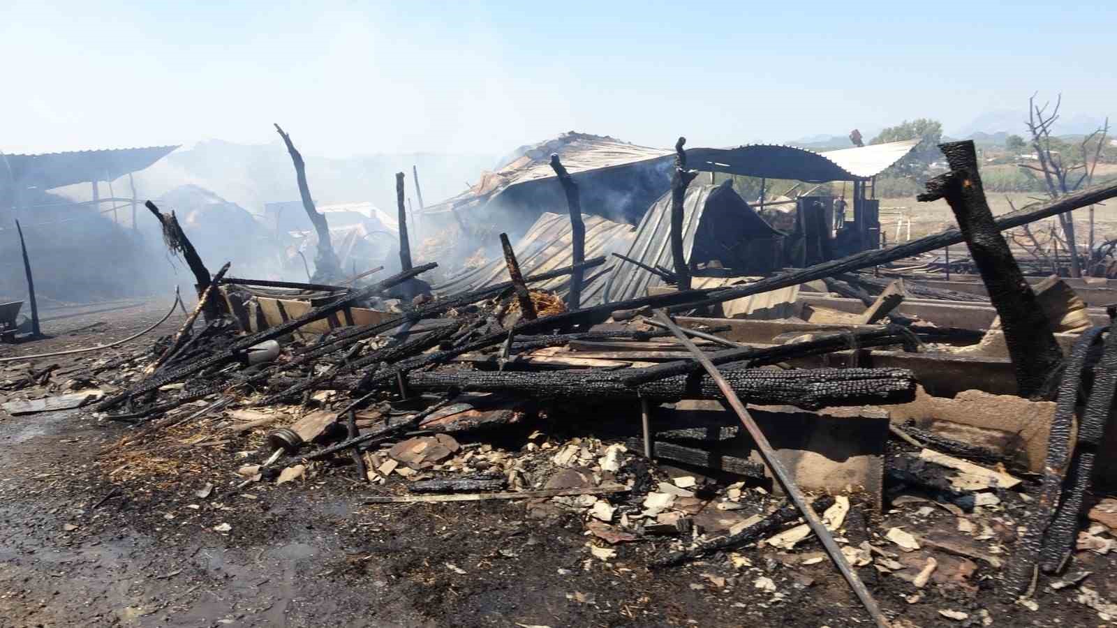 Anızdan başlayan yangın ağıl ve yem depolarını yaktı, 2 keçi telef oldu