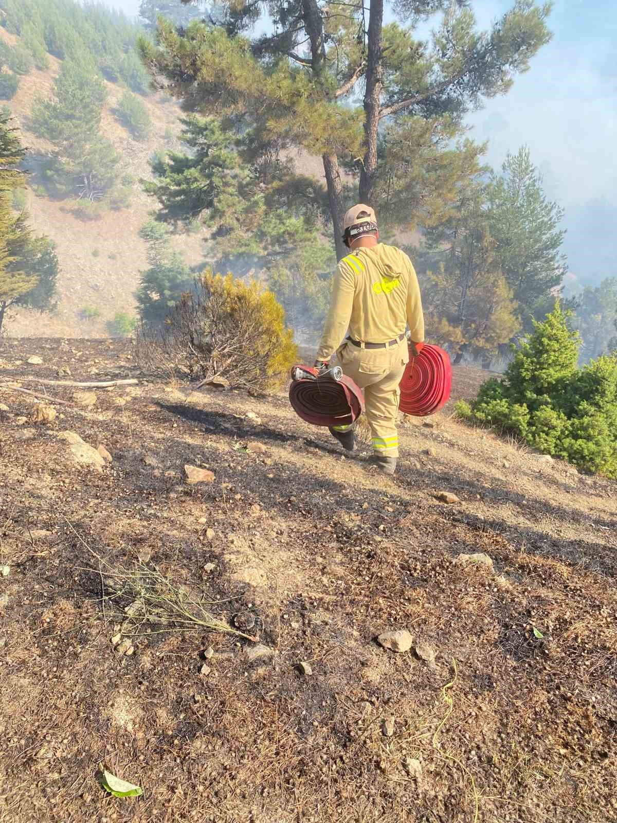 Kahramanmaraş’ta çıkan orman yangını kontrol altına alındı