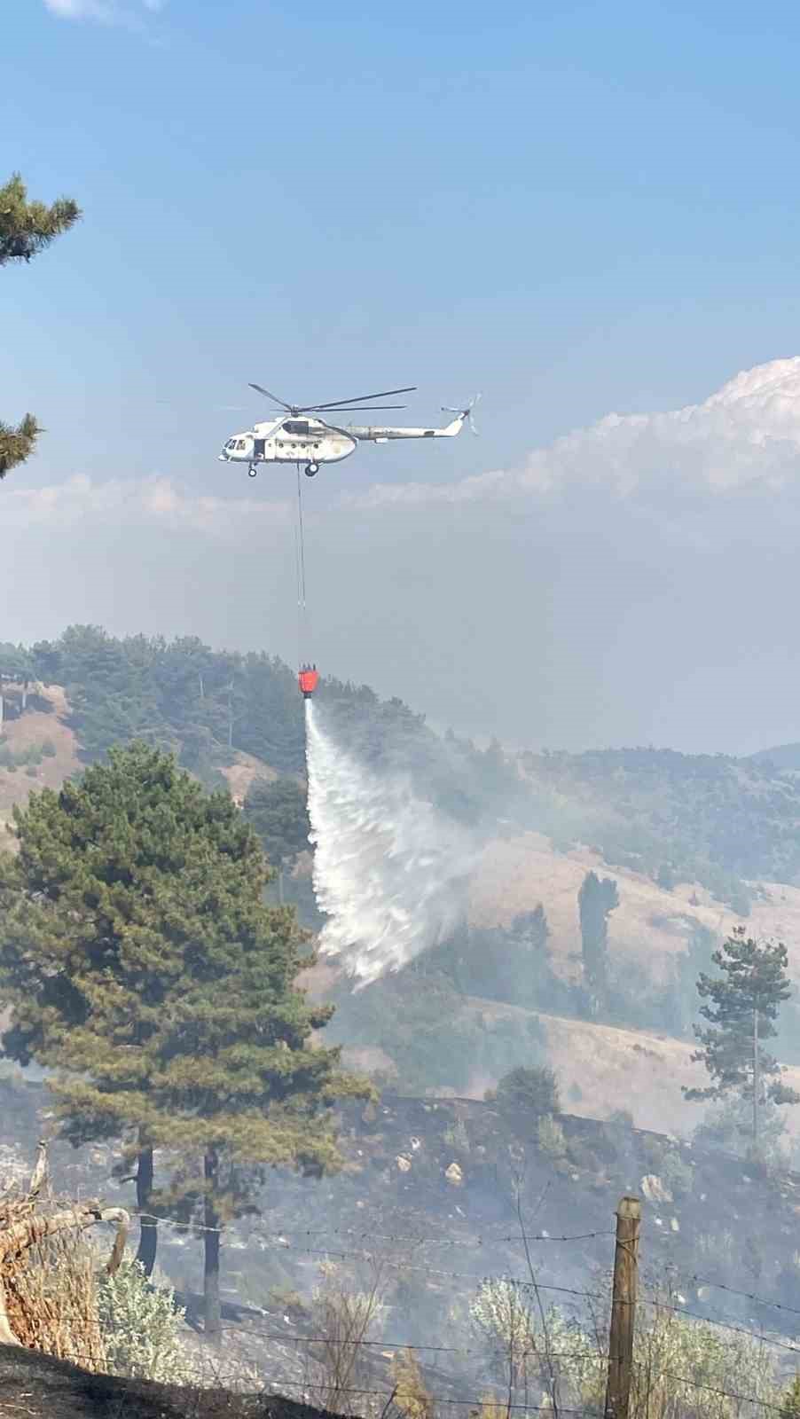 Kahramanmaraş’ta çıkan orman yangını kontrol altına alındı