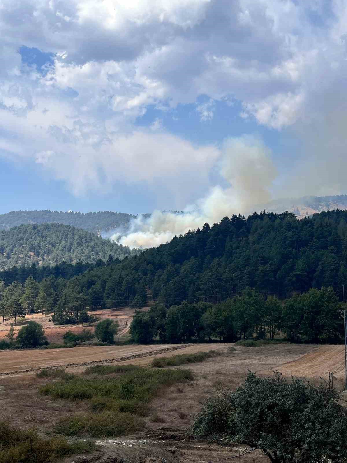 Kahramanmaraş’ta çıkan orman yangını kontrol altına alındı