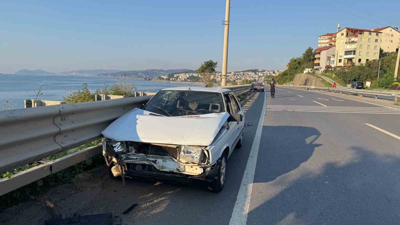 Yola fırlayan köpek kazaya neden oldu: 5 yaralı