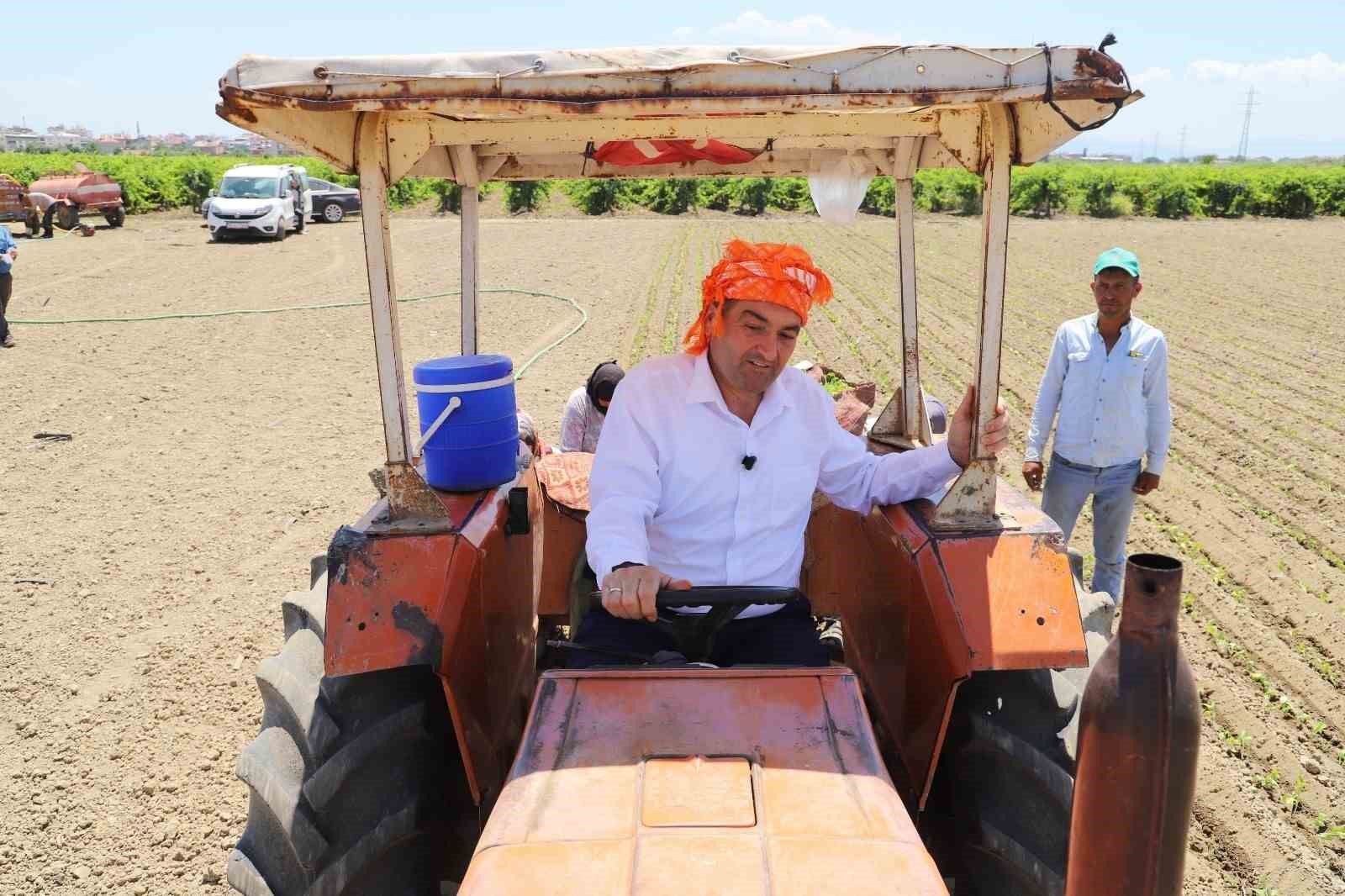 Üzüm hasadında eline makineye kaptıran Saruhanlı Belediye Başkanı yaralandı