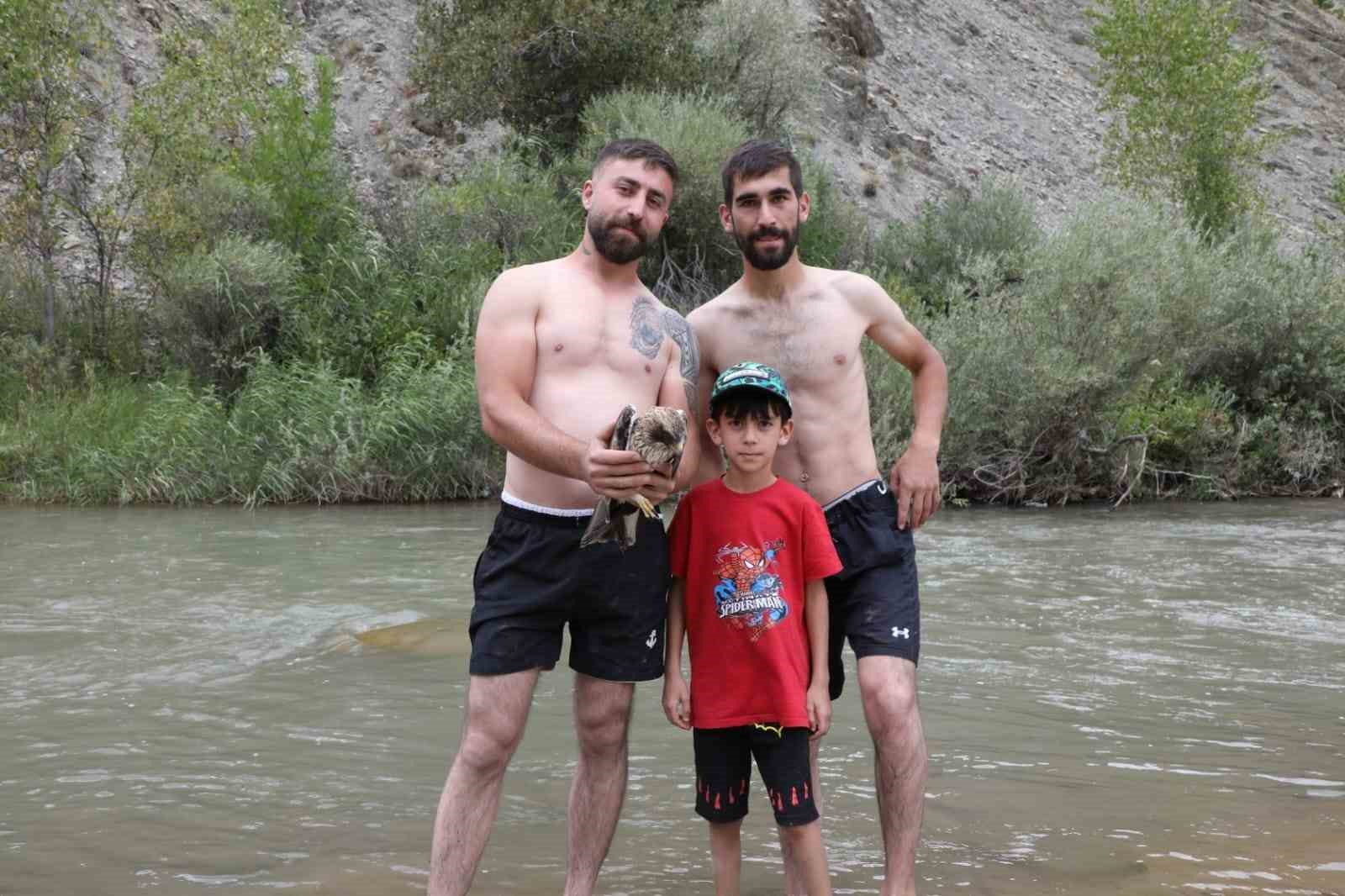 Ağaca çarpıp suya düşen kızıl şahin kurtarıldı