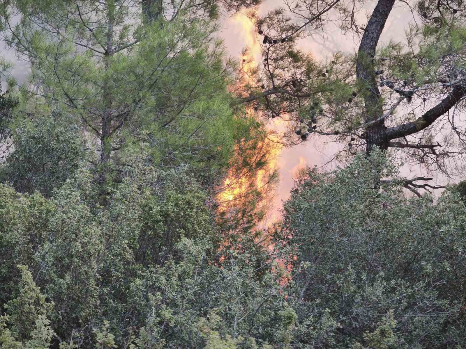 Muğla’daki orman yangınına müdahale devam ediyor
