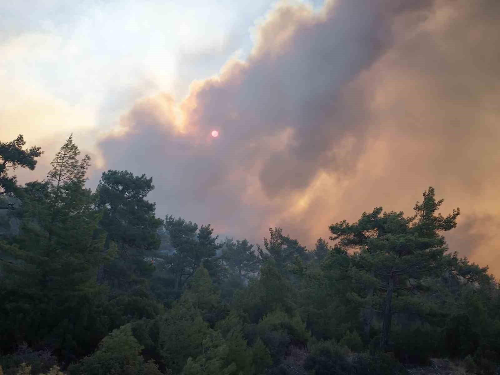 Muğla’daki orman yangınına müdahale devam ediyor
