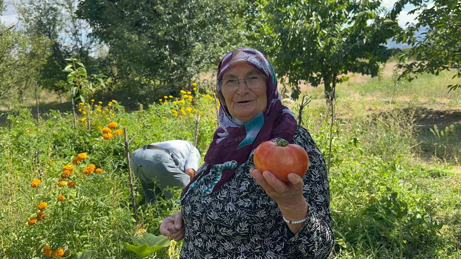 "Güvercin gübresini bir yıl bekletip sıvı halde veriyorum"
