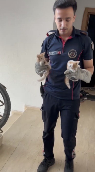 Havalandırma boşluğuna düşen 3 yavru kediyi itfaiye kurtardı