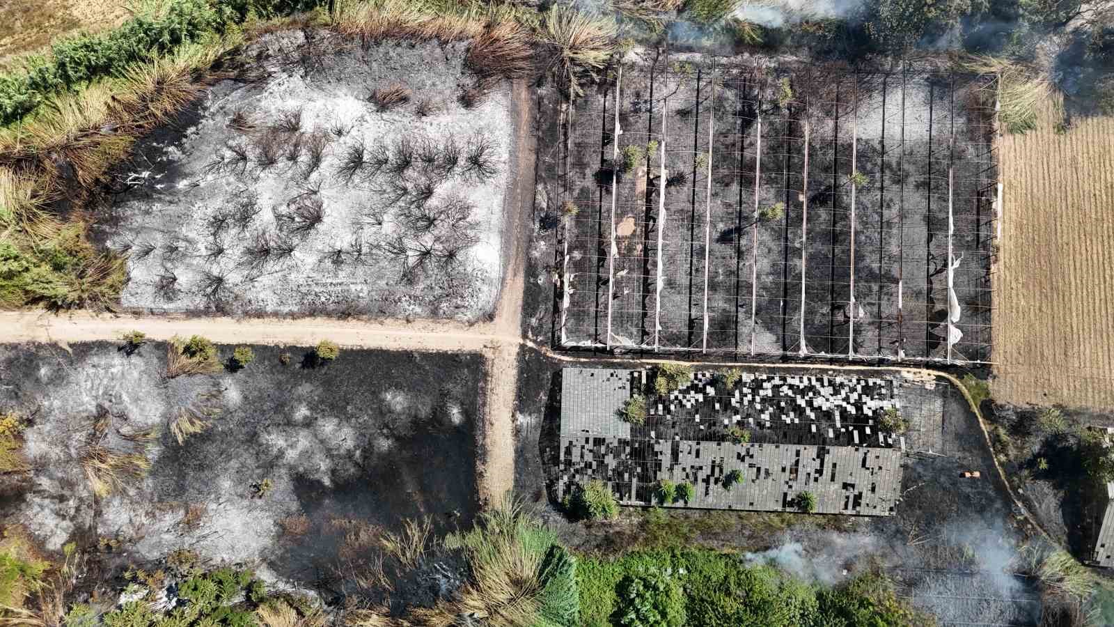 Yangında seralar küle döndü, ‘en büyük servetimdi’ dediği baba yadigarı traktörünün yanışını gözyaşlarıyla izledi