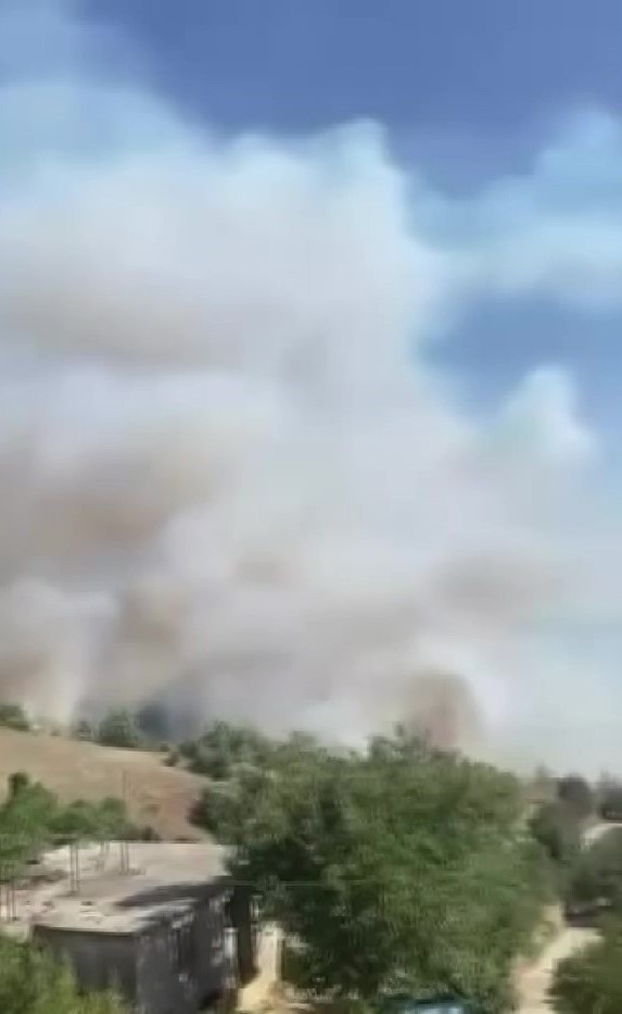 Adana’da orman yangını