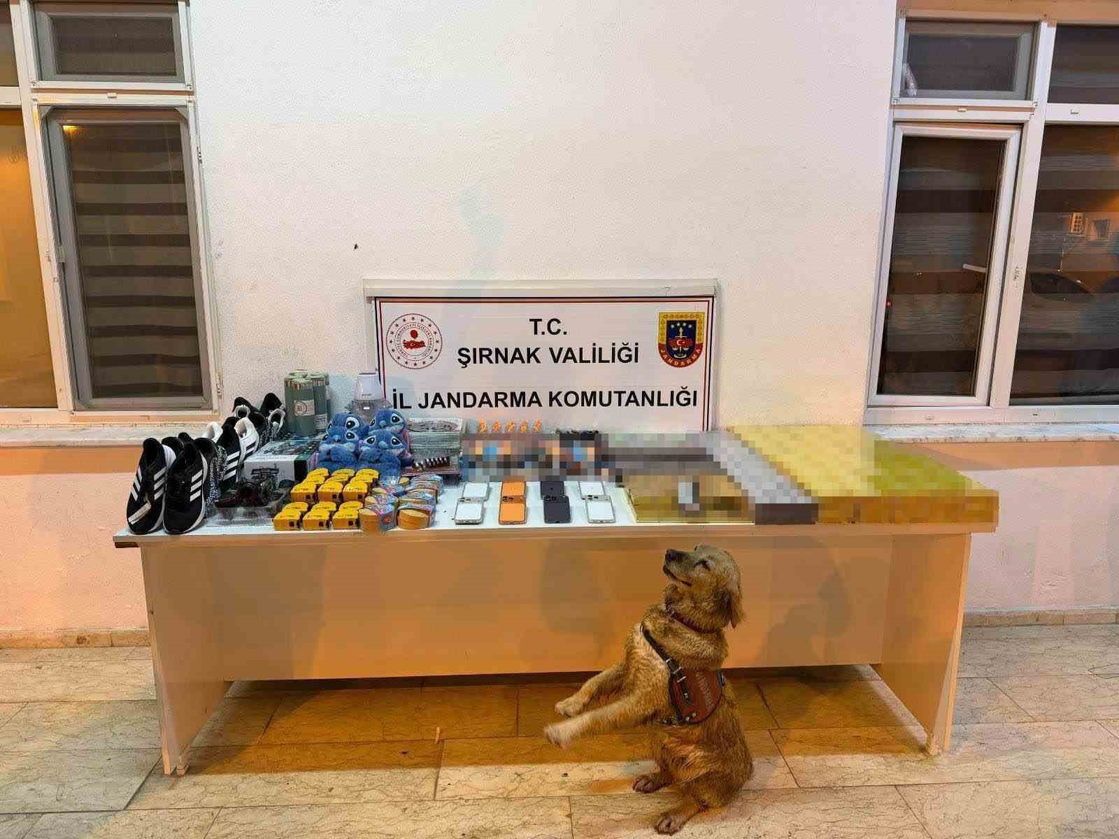 Şırnak’ta jandarmadan kaçakçılık operasyonu