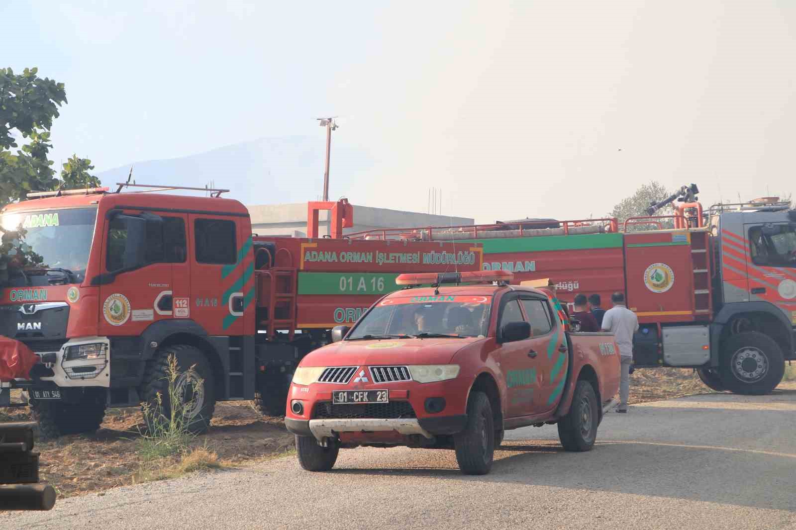 Evlerin yanında orman yangını çıktı: Hem havadan hem karadan müdahale sürüyor