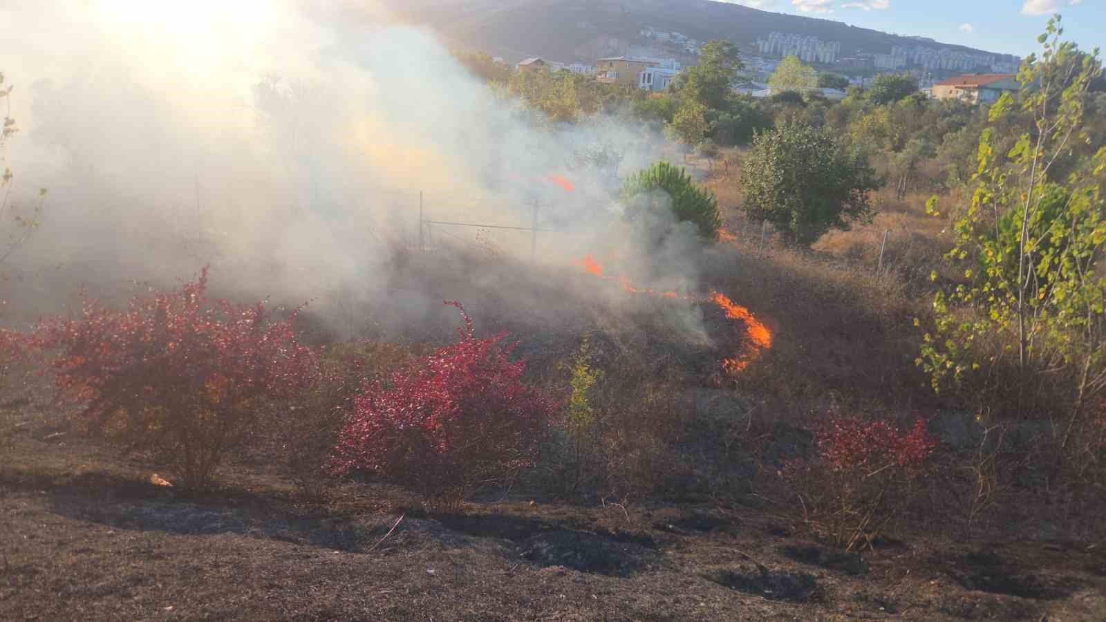 Otoyol kenarında başlayan yangın ağaçlara sıçradı
