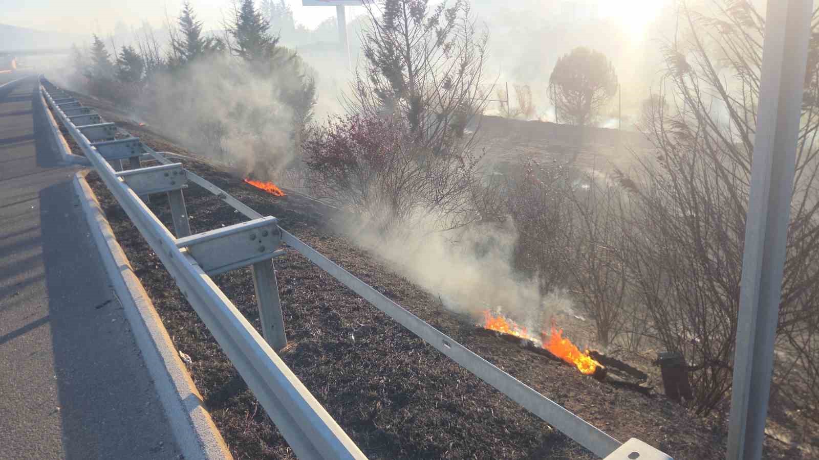 Otoyol kenarında başlayan yangın ağaçlara sıçradı