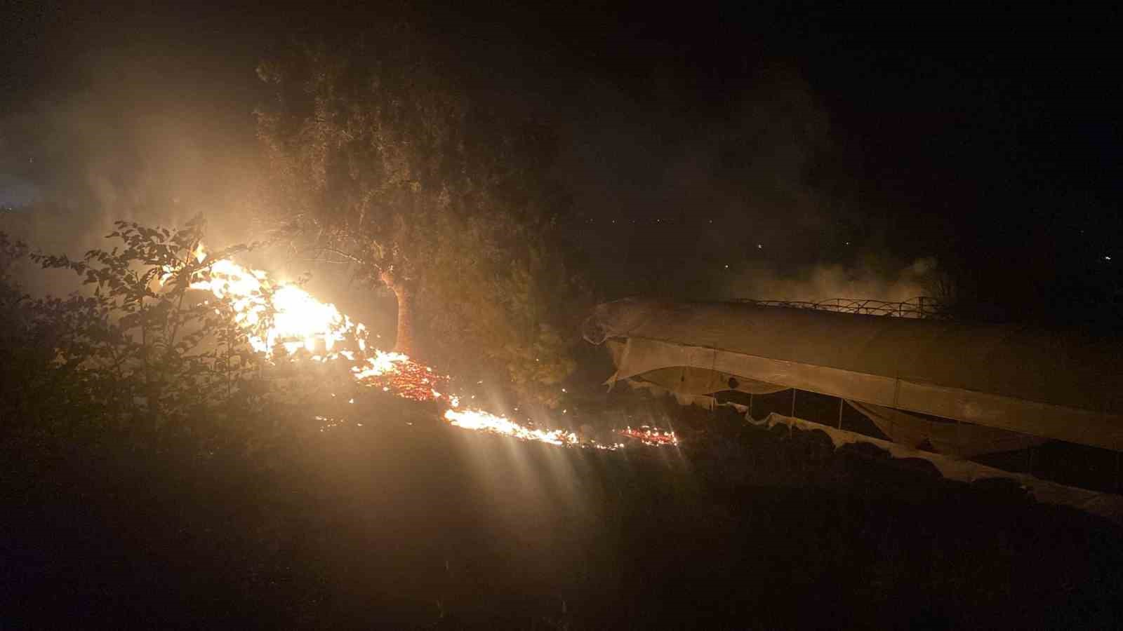 Antalya’da gece yarısı arazi yangını: 2 ev kullanılamaz hale geldi