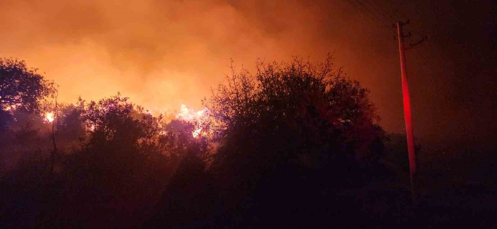 İzmir’de zeytinlik ve otluk alanda çıkan yangın kontrol altına alındı