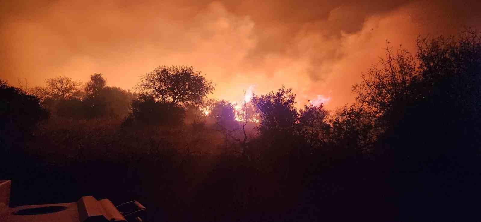 İzmir’de zeytinlik ve otluk alanda çıkan yangın kontrol altına alındı