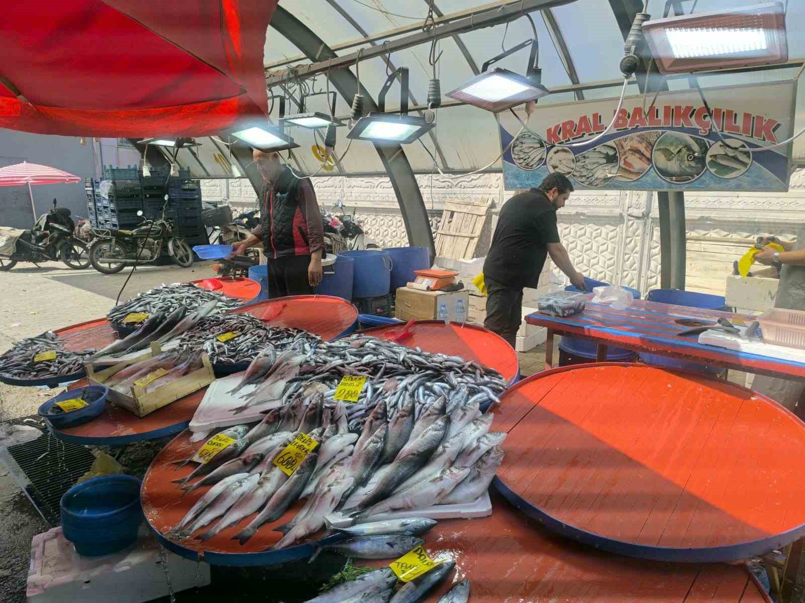 Afyonkarahisar’da balıkçı tezgahlarında hareketlilik başladı