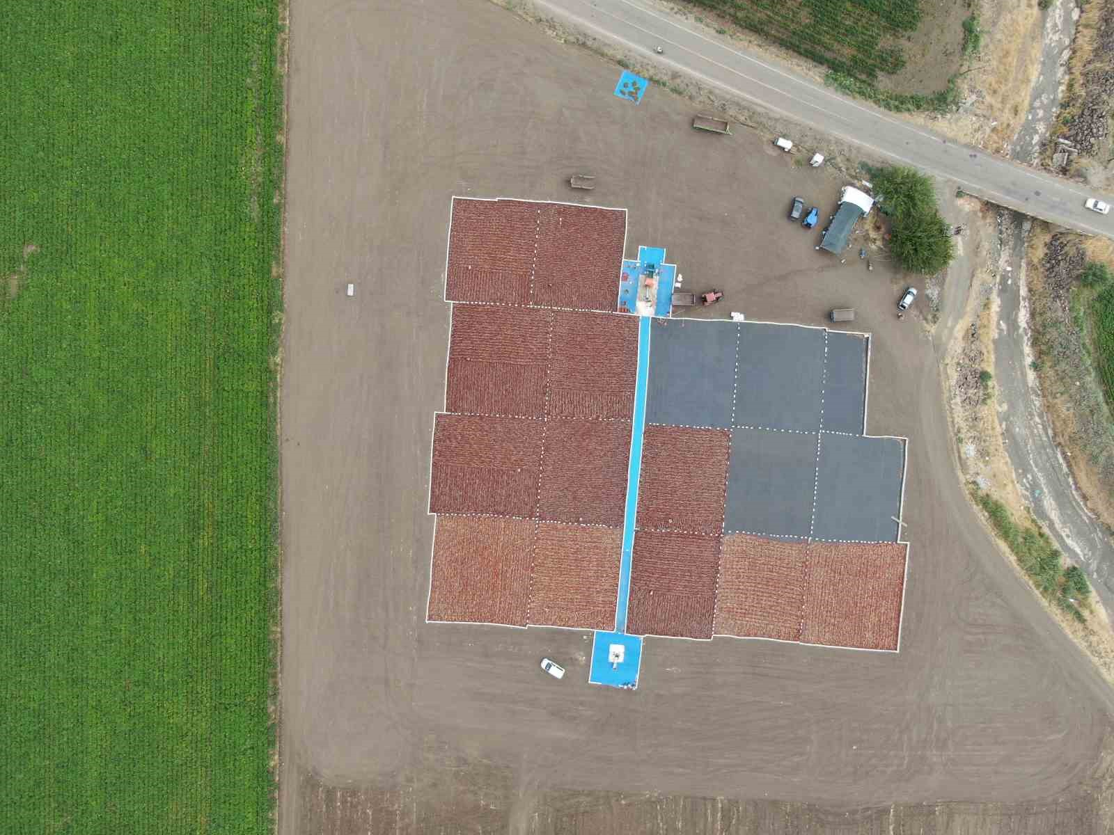 Acılarını güneşten çıkartıyorlar