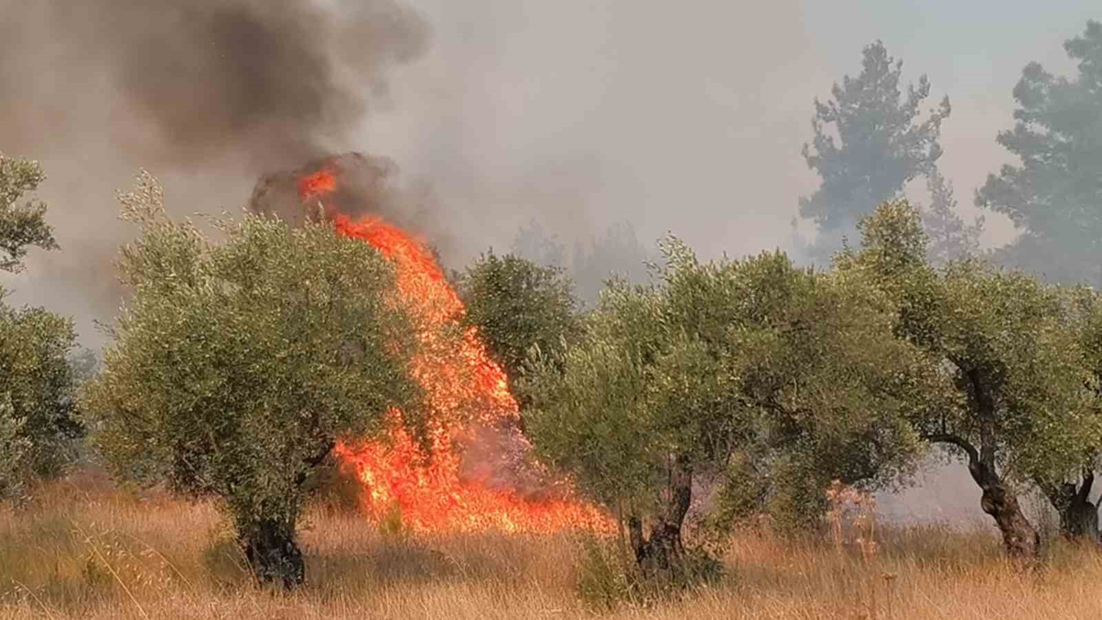 Antalya Aksu orman yangınında 254 hane boşaltıldı, 720 kişi tahliye edildi
