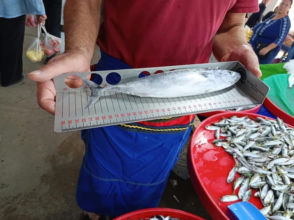 Hayrabolu’da balık tezgahlarında denetim