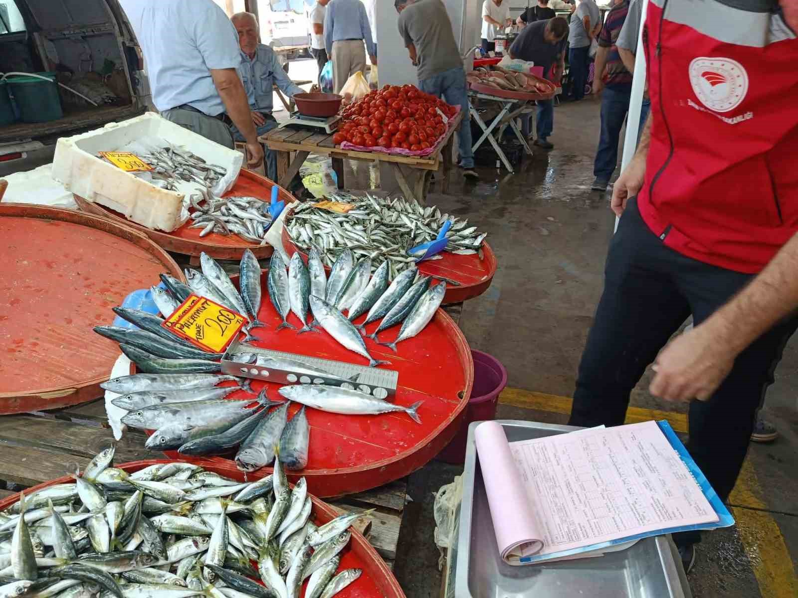 Hayrabolu’da balık tezgahlarında denetim