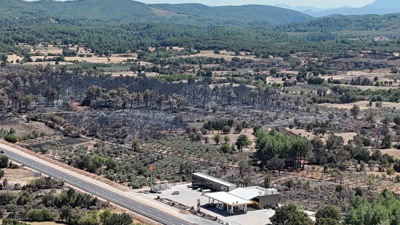 Alevler geride kara bir tablo bıraktı: 150 hektar zarar gördü