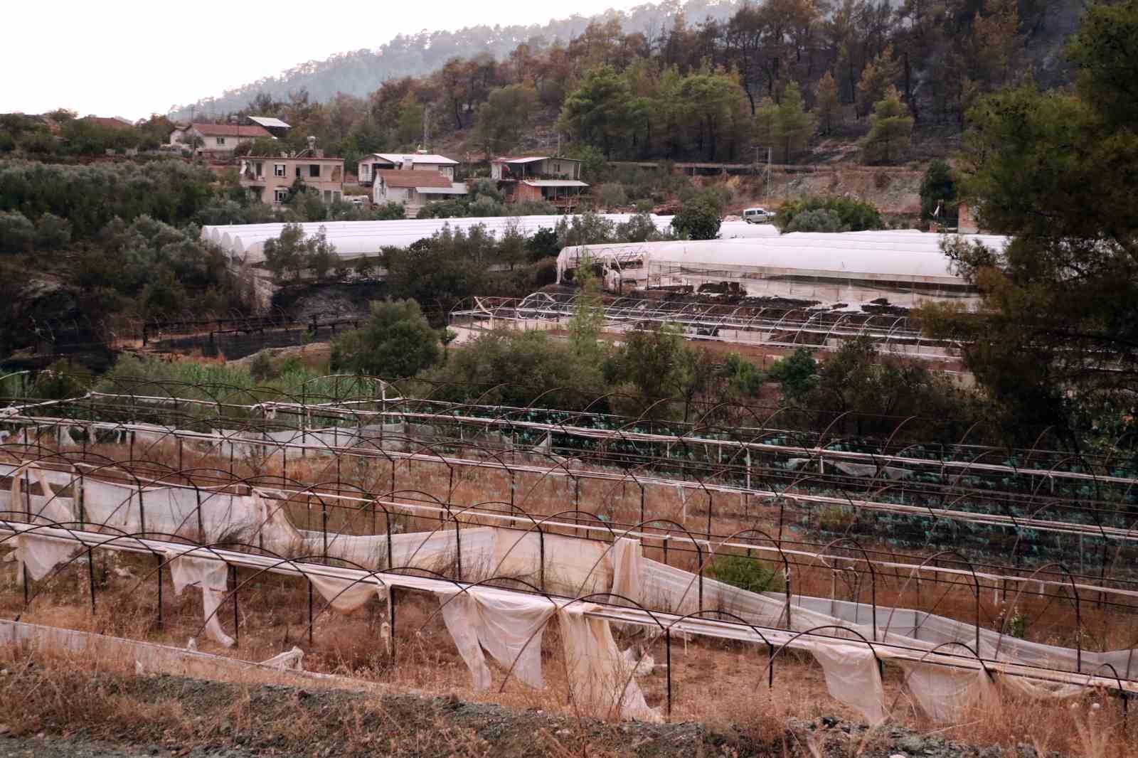 Kumluca’daki orman yangınında 10 ev zarar gördü, karadan müdahale devam ediyor