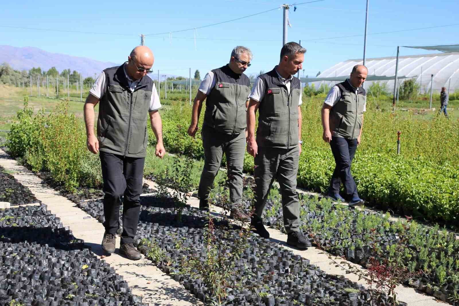 Erzincan Fidanlık Şefliğinde 2026 yılı üretim çalışmaları incelendi