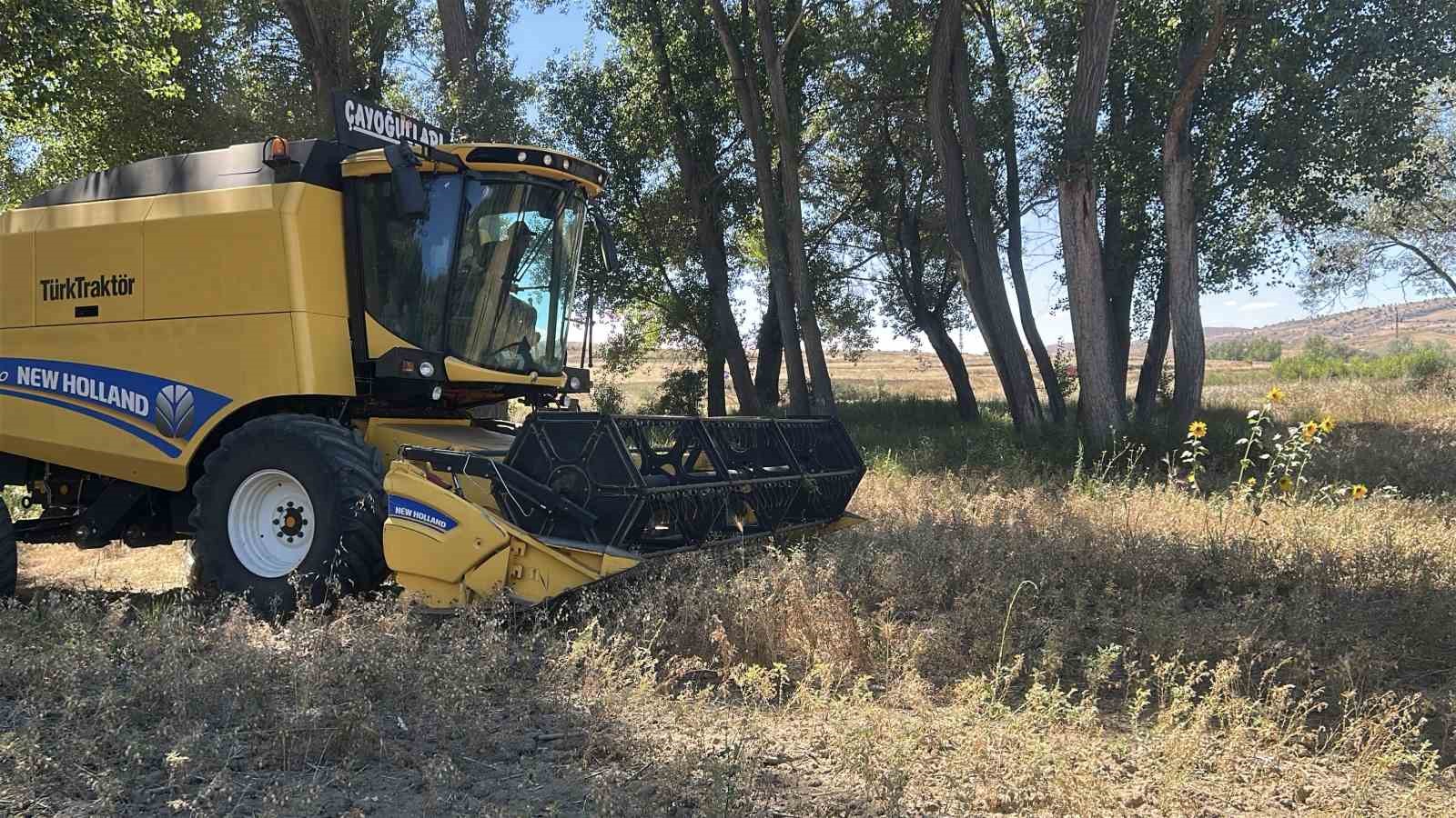 Yozgat’ta nohut hasadı devam ediyor, beklenti 57 bin ton