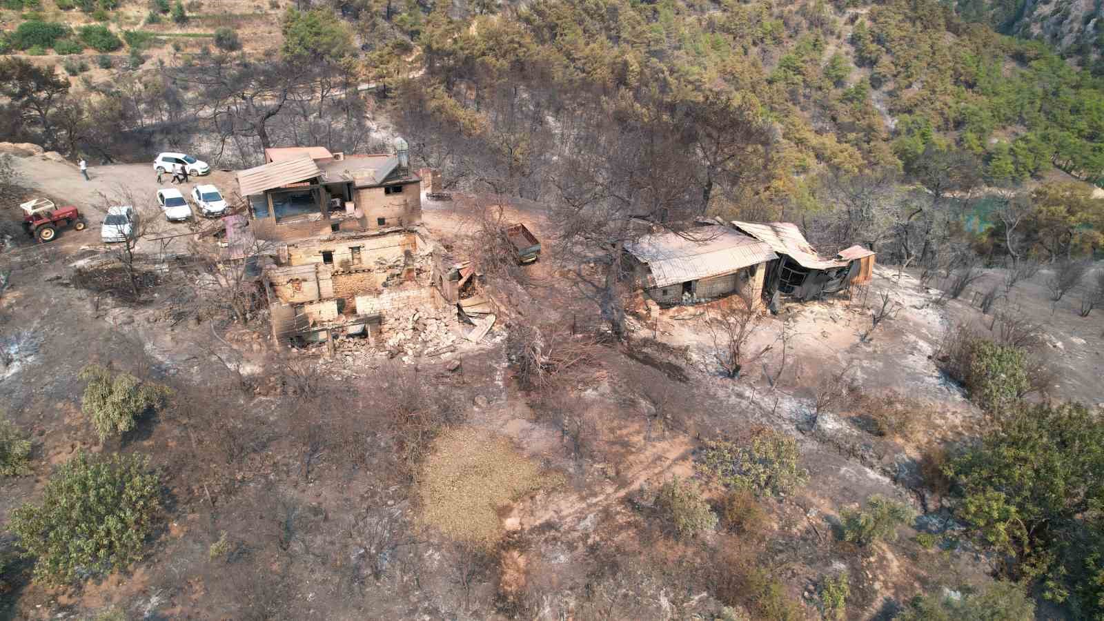 Orman yangınında acı bilanço: 19 hane yandı