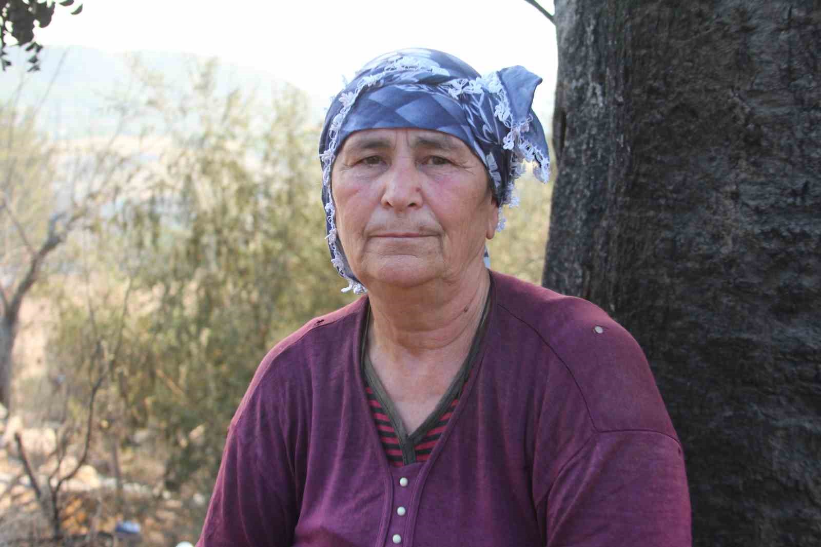 Orman yangınında acı bilanço: 19 hane yandı