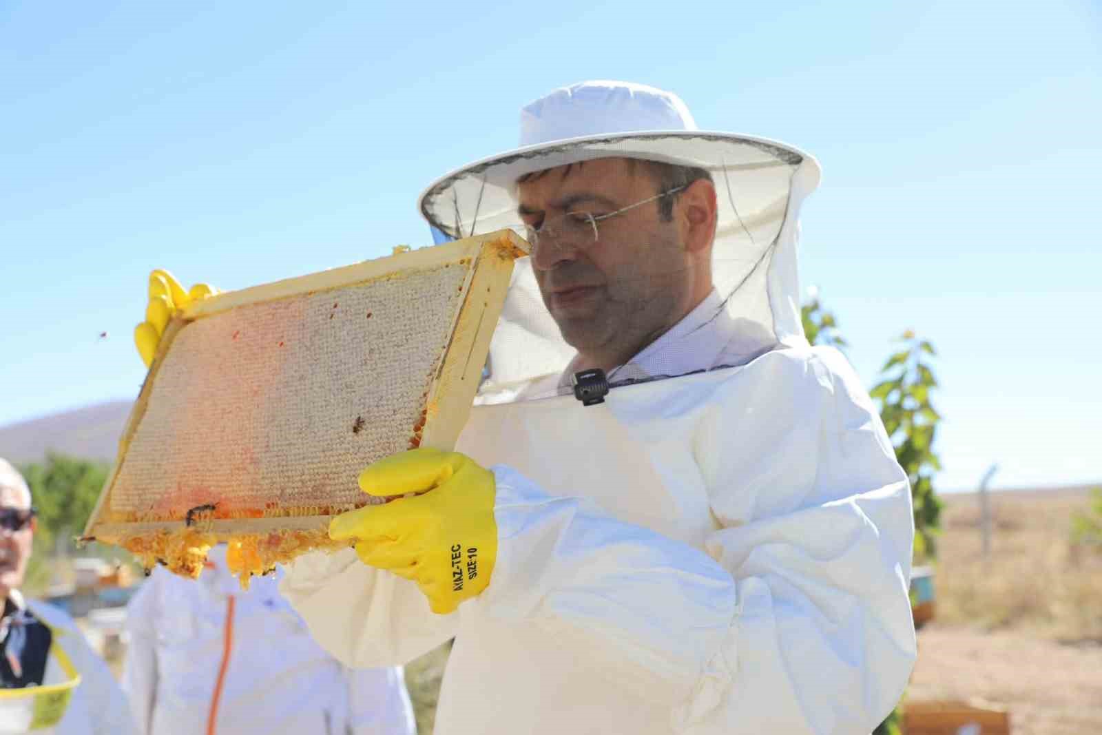 Niğde’nin bin 800 rakımlı Tumlu Yaylası’nda Geven Balı bereketi