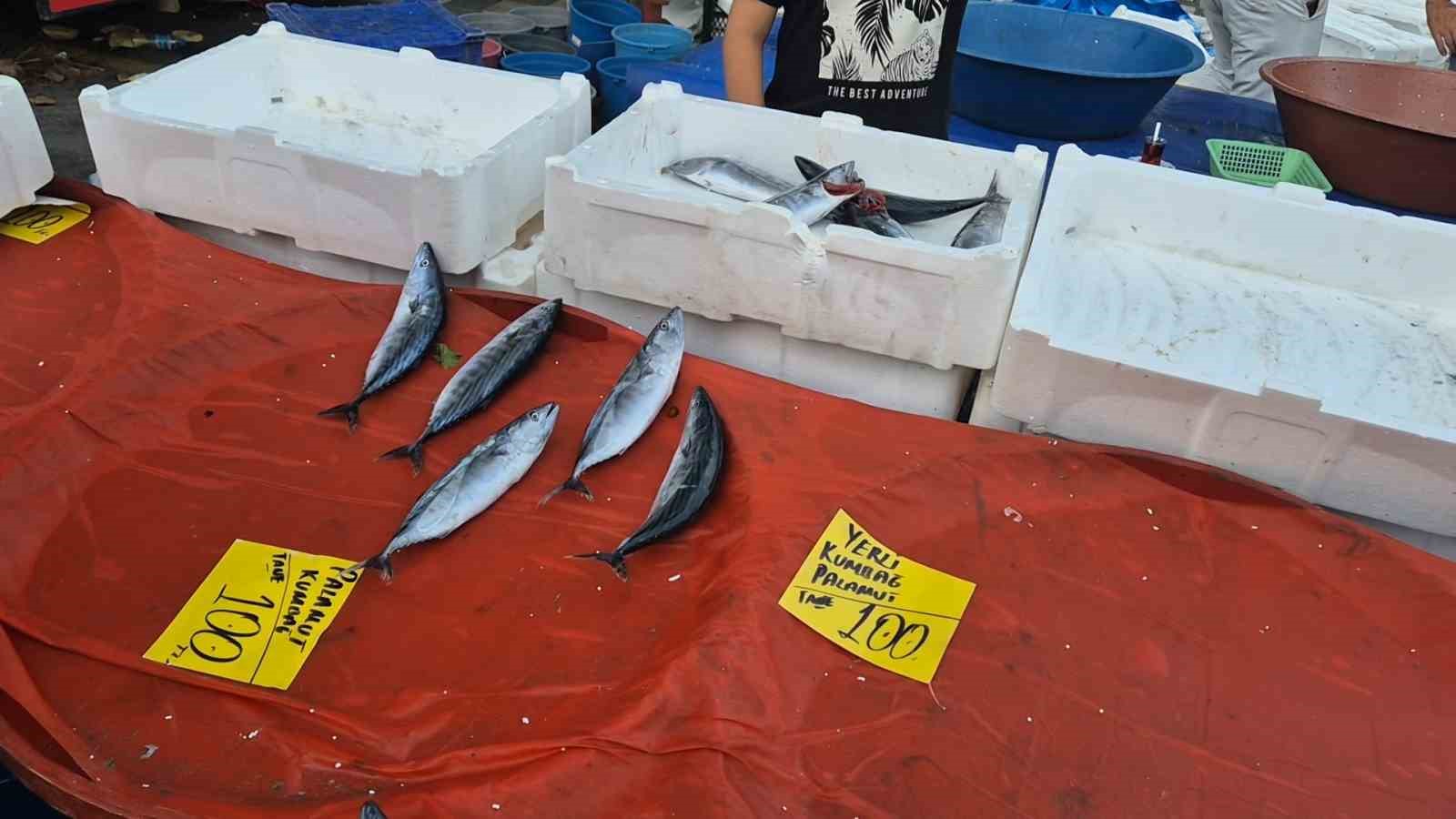 Fırtınaya rağmen tezgâhların gözdesi: Palamudun tanesi 75 liraya kadar indi