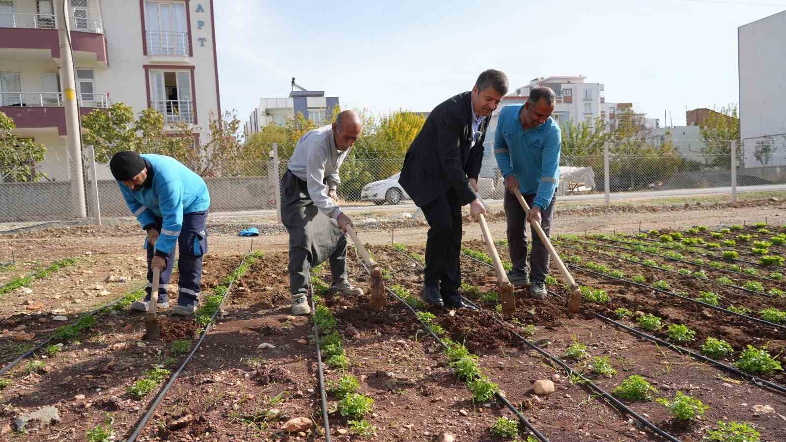 Belediye üretiyor, vatandaş uygun fiyatla alıyor