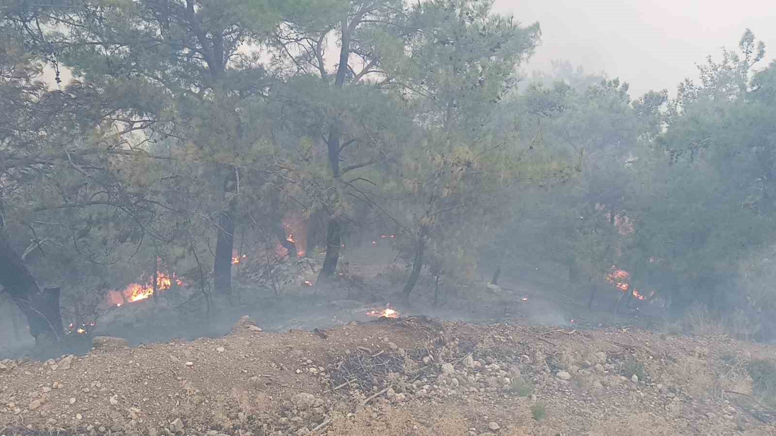 Alevler yerleşim yerine kadar yaklaştı, ekipler önledi