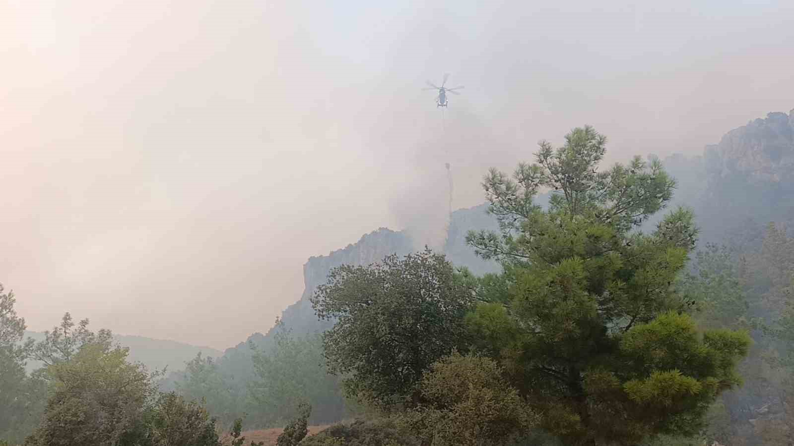 Alevler yerleşim yerine kadar yaklaştı, ekipler önledi