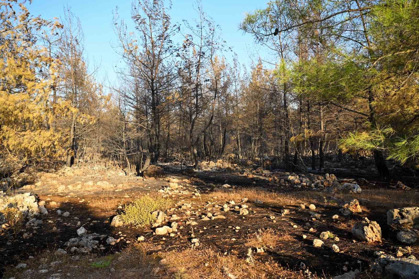 Vali Şahin, Antalya’daki orman yangınlarının son durumunu paylaştı