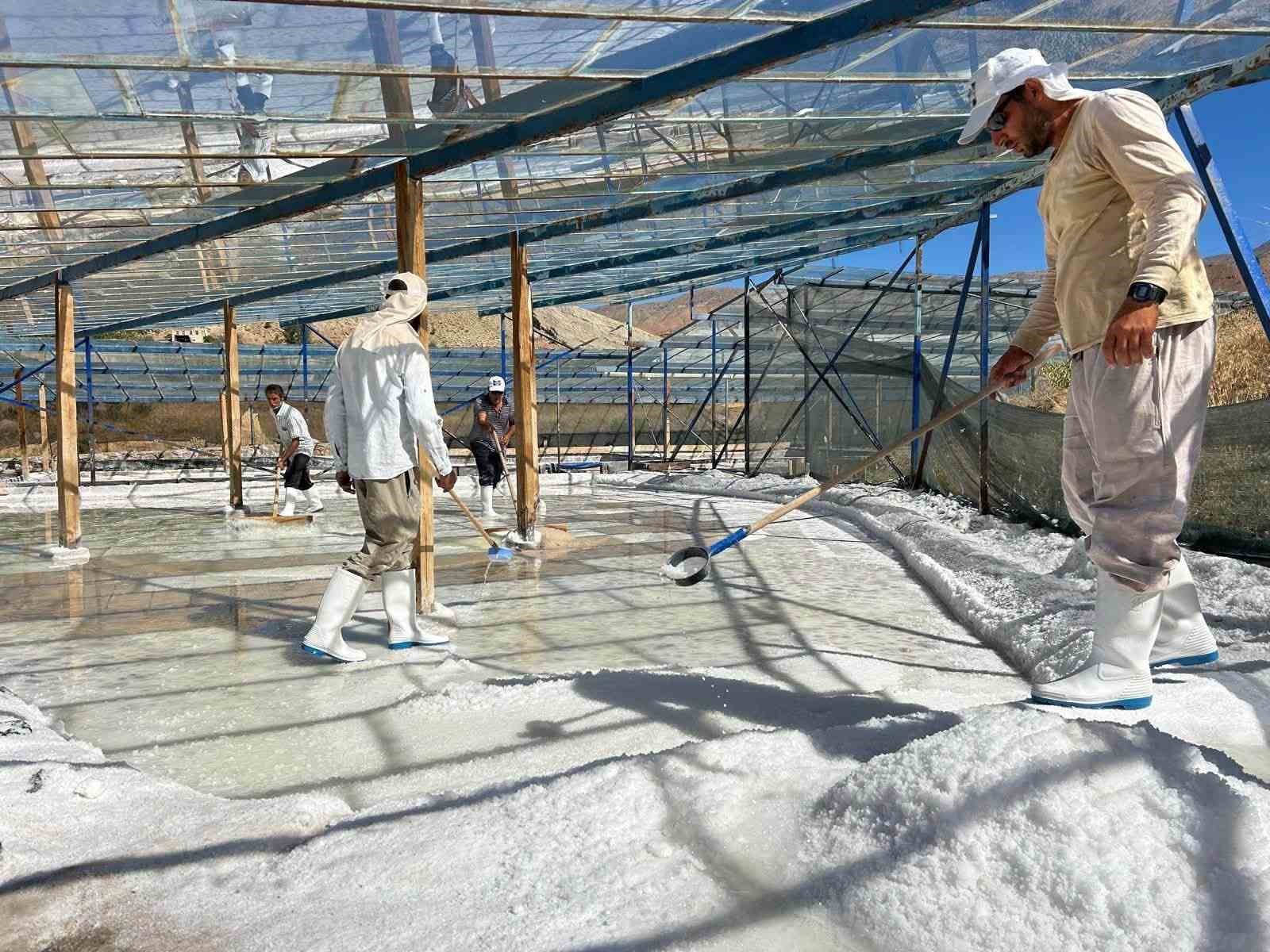 Kemah Kaymakamı Tutay, tuz hasadına katıldı