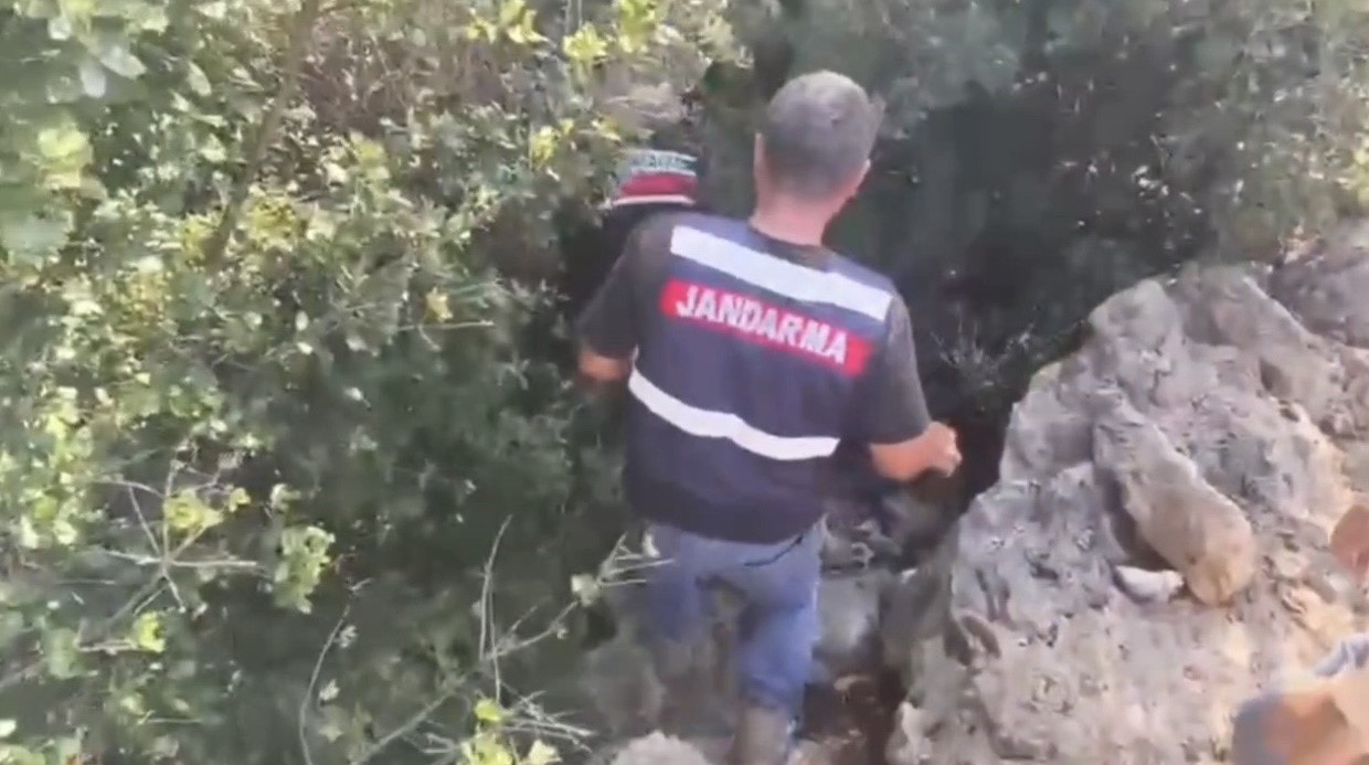 Hatay’da jandarmadan uyuşturucu operasyonu: 371 kök kenevir ele geçirildi