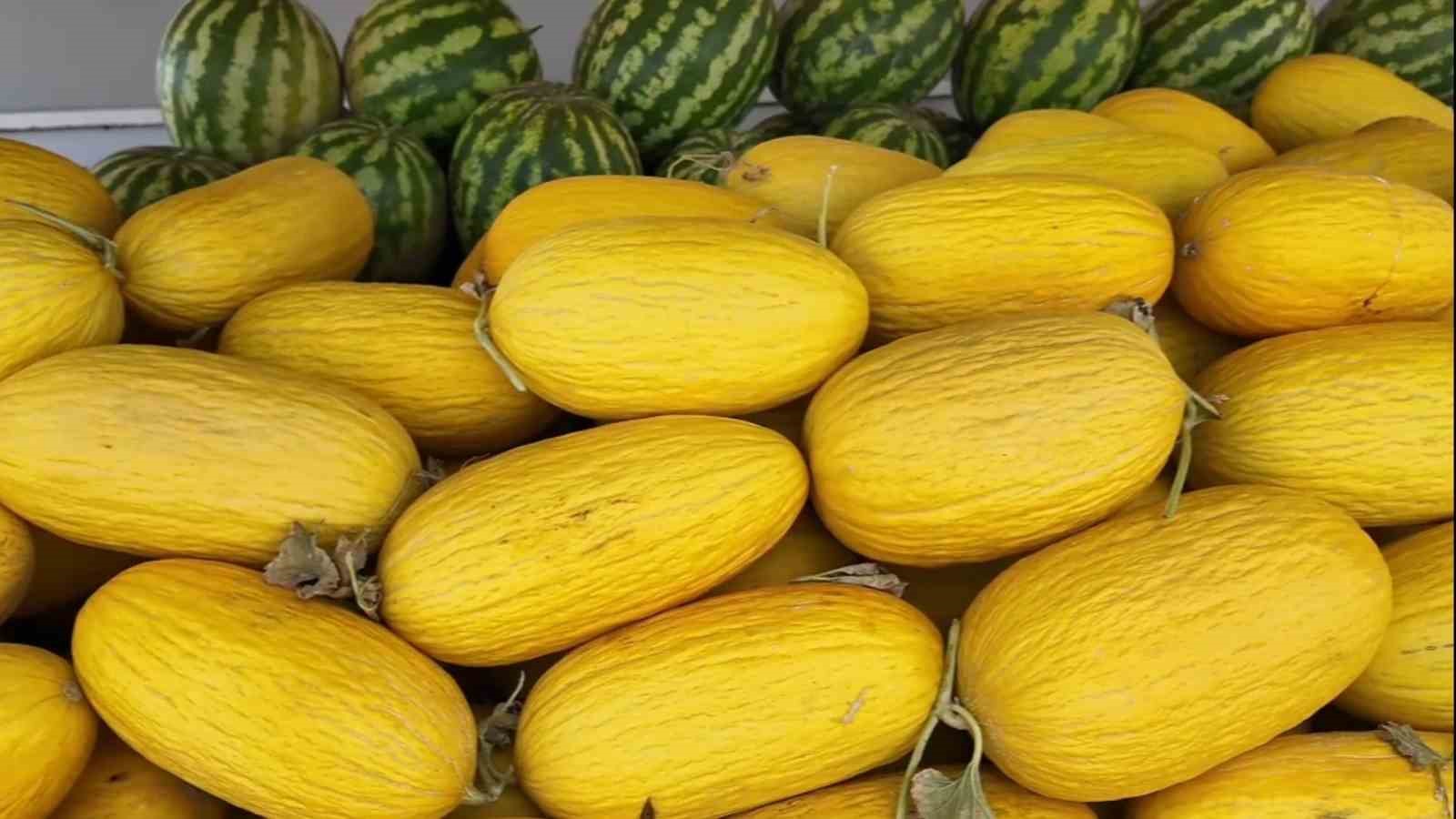 Bekledikçe güzelleşiyor, asıldıkça lezzetleniyor: Çorlu Seymen Kavunu