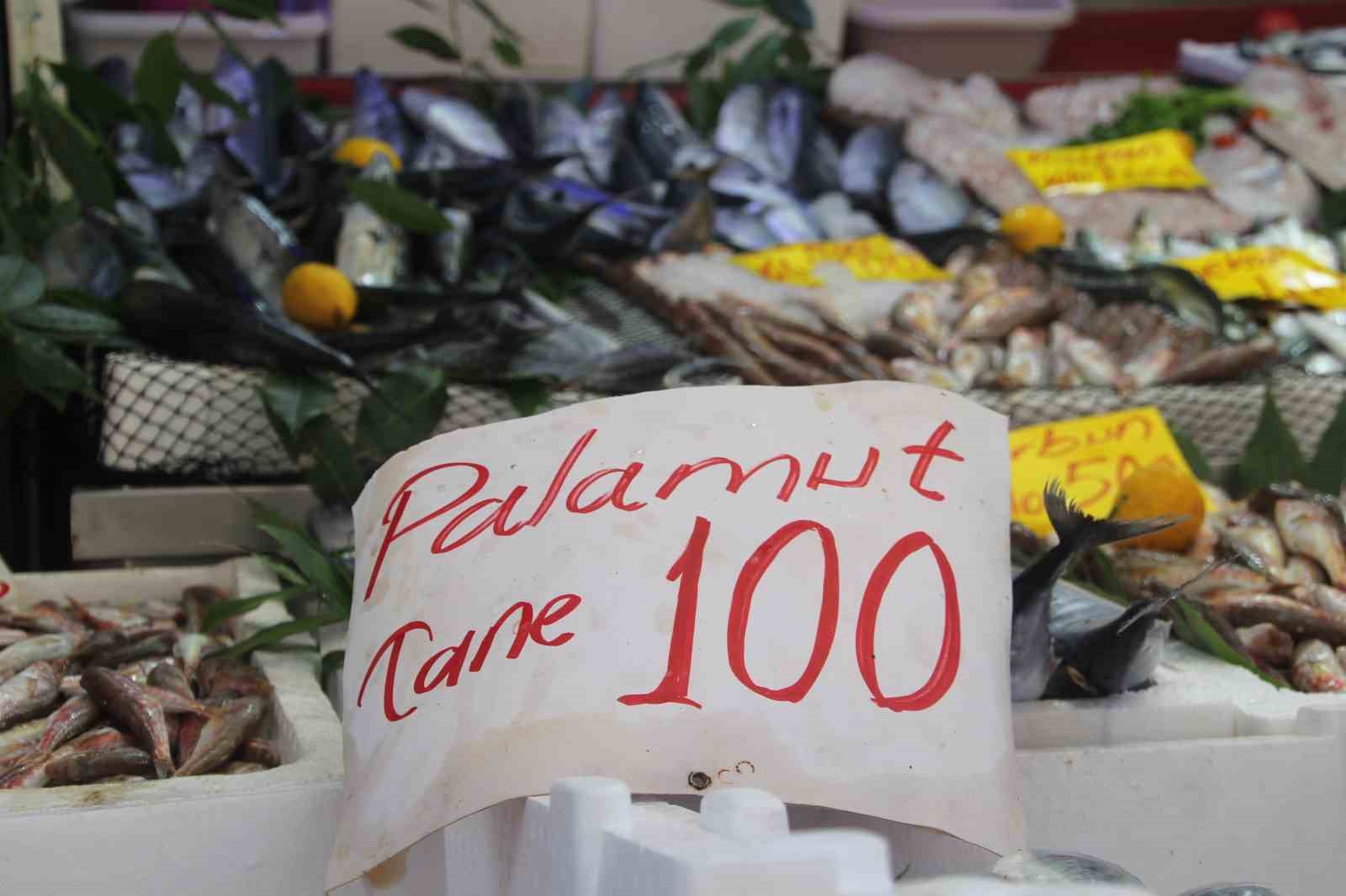 Palamut bolluğu tezgahlara yansıdı: 600 gram balık 100 lira