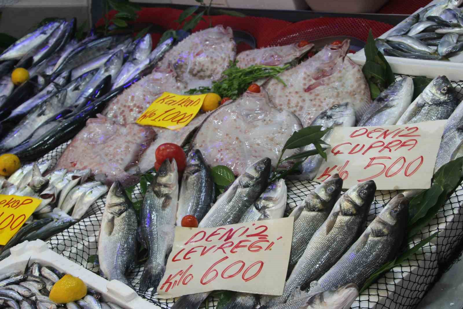 Palamut bolluğu tezgahlara yansıdı: 600 gram balık 100 lira