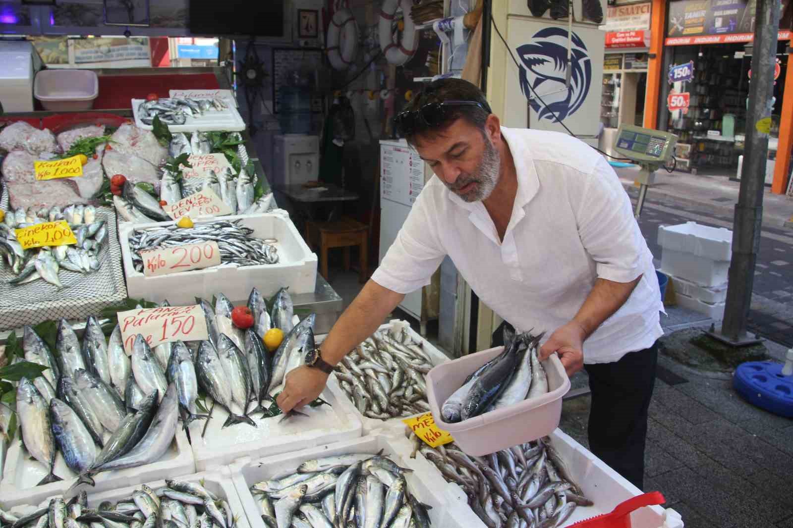 Palamut bolluğu tezgahlara yansıdı: 600 gram balık 100 lira