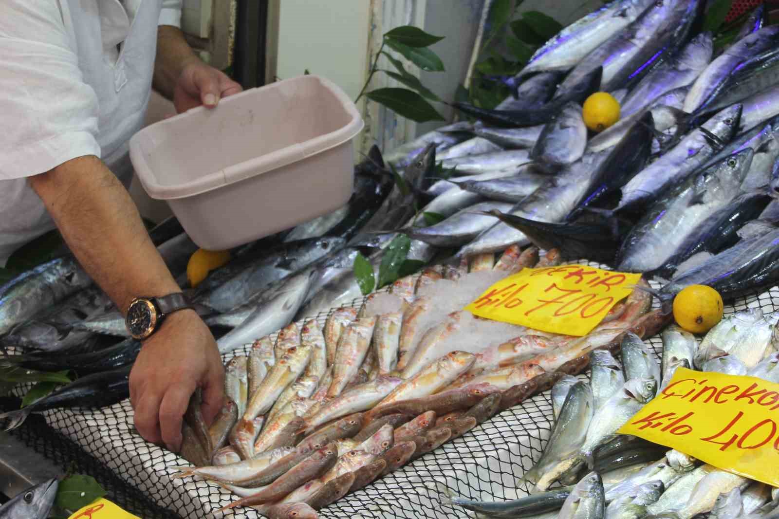 Palamut bolluğu tezgahlara yansıdı: 600 gram balık 100 lira