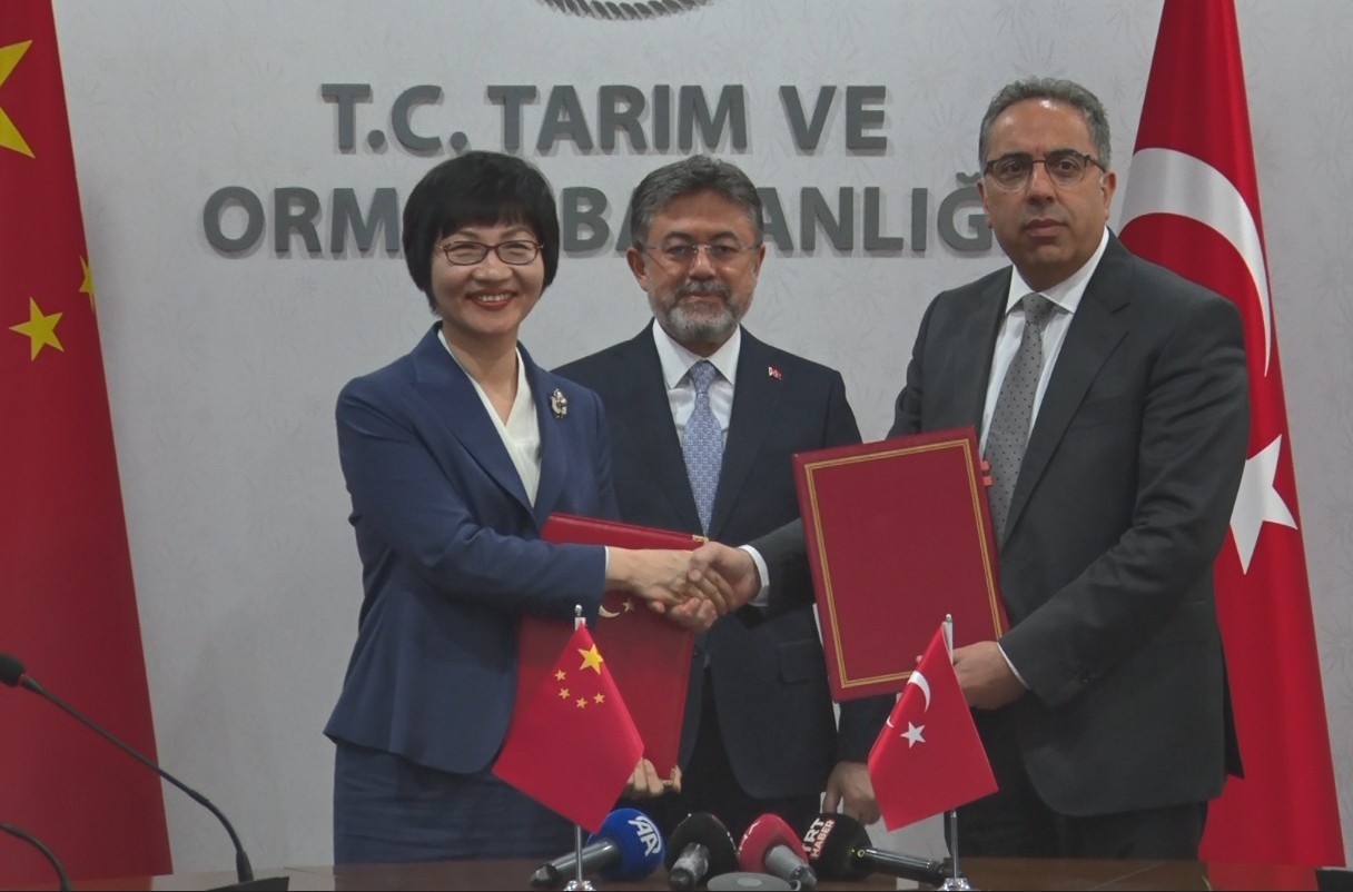 Defne yaprağı ihracatında Çin’le yeni dönem: Yıllık 60 milyon dolarlık ihracat