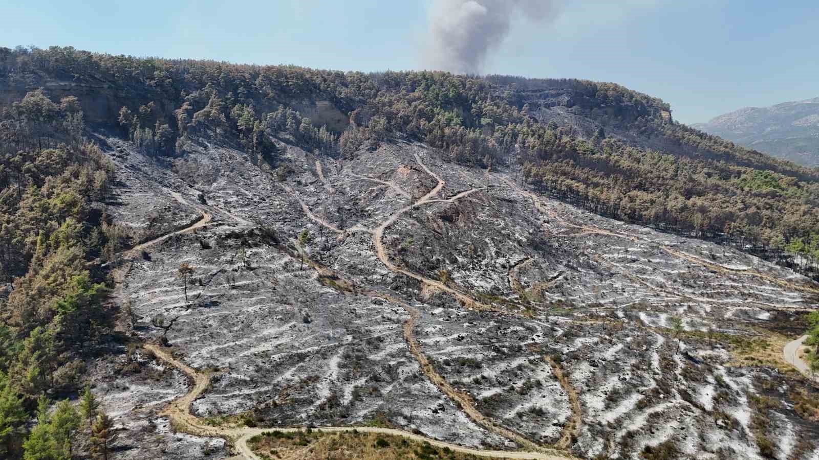 Antalya Aksu’daki orman yangını 4’üncü günde kontrol altına alındı