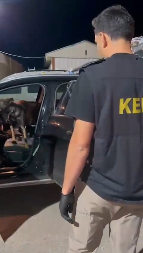 Muş’ta araçtan 102 gram metamfetamin çıktı: 2 şüpheli tutuklandı