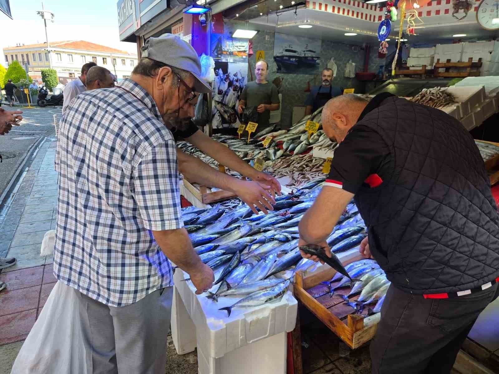 Palamut bedavadan biraz daha pahalı: Tanesi 50 TL